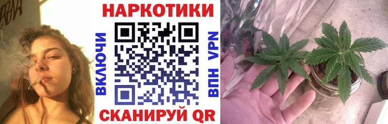 Гашиш Саров