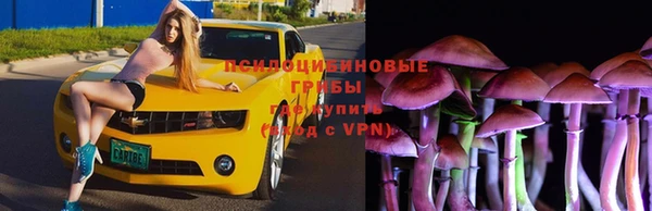 каннабис Алзамай