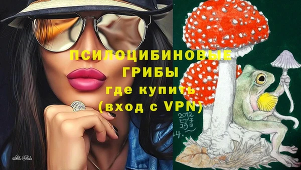 каннабис Алзамай