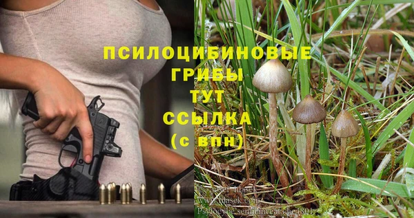 ALPHA PVP Алексеевка