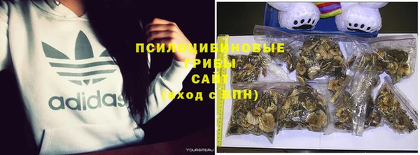 ALPHA PVP Алексеевка