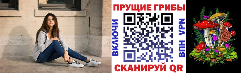 Галлюциногенные грибы ЛСД Саров