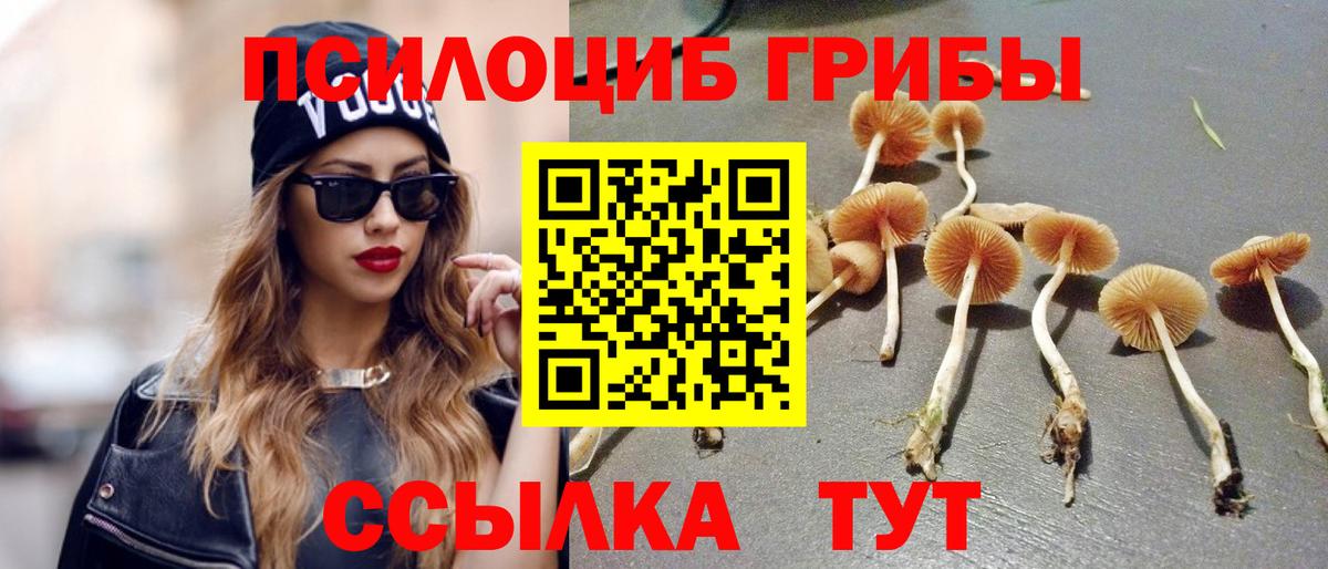 Псилоцибиновые грибы ЛСД Саров